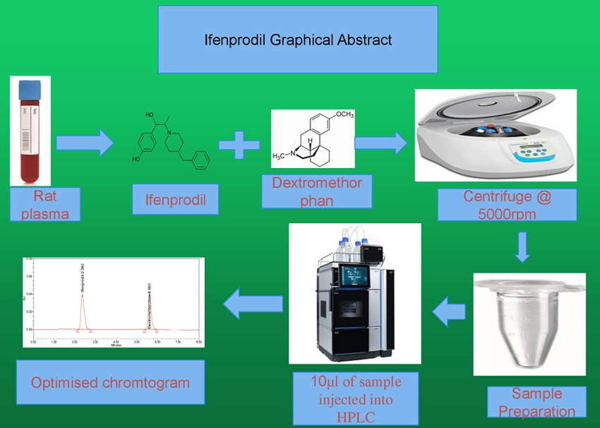 Graphical Abstract
