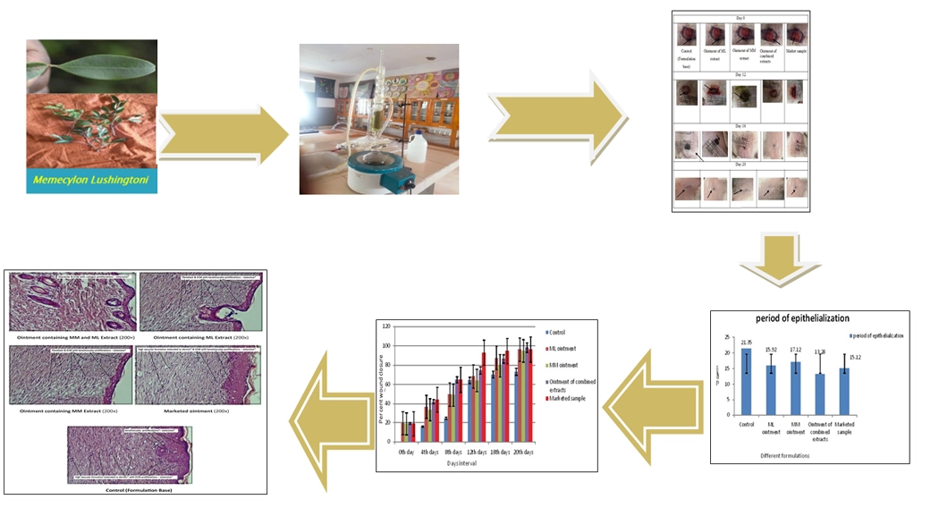 Graphical Abstract