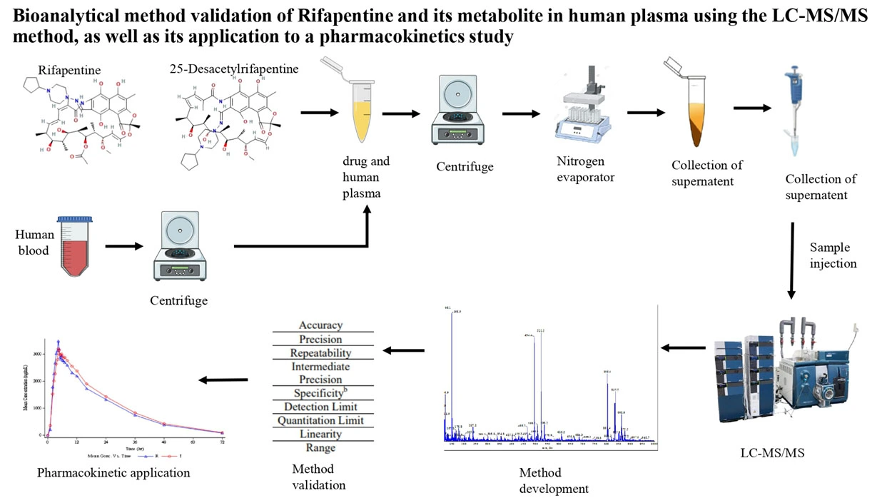 Graphical Abstract