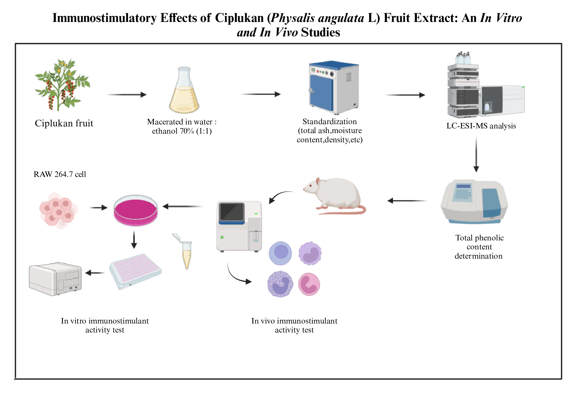 Graphical Abstract