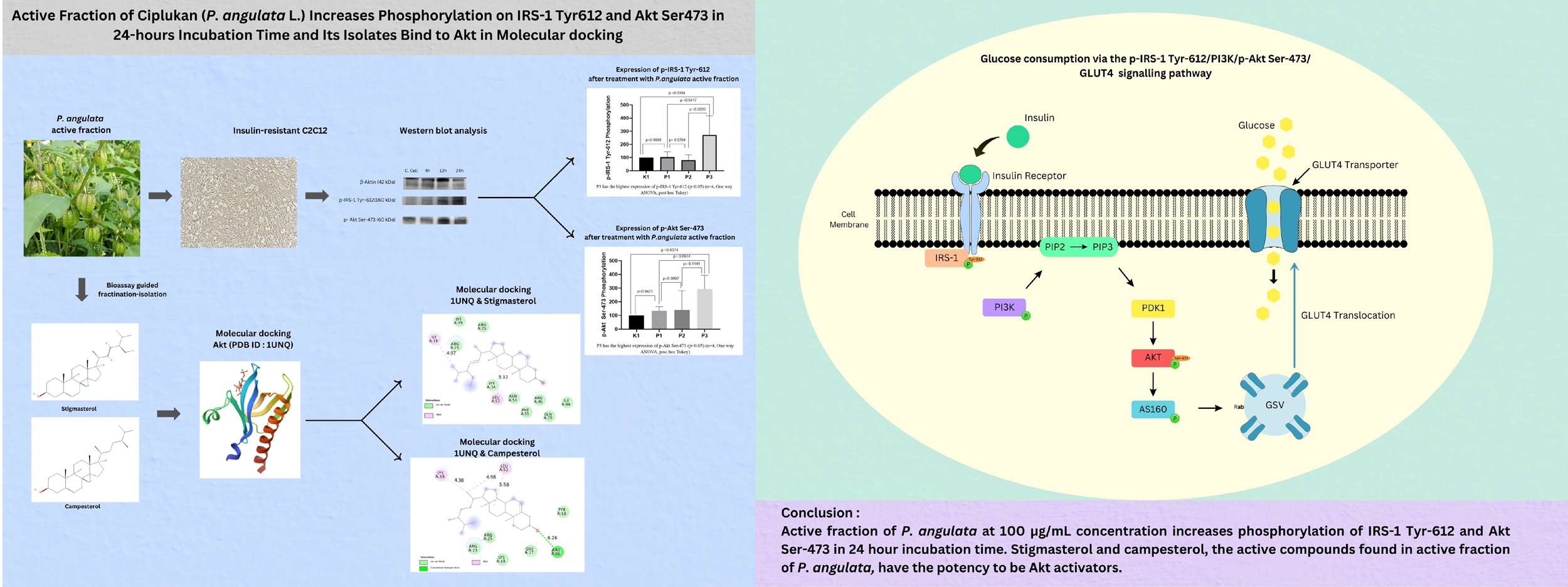 Graphical Abstract