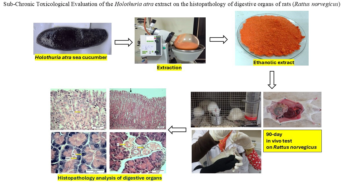 Graphical Abstract