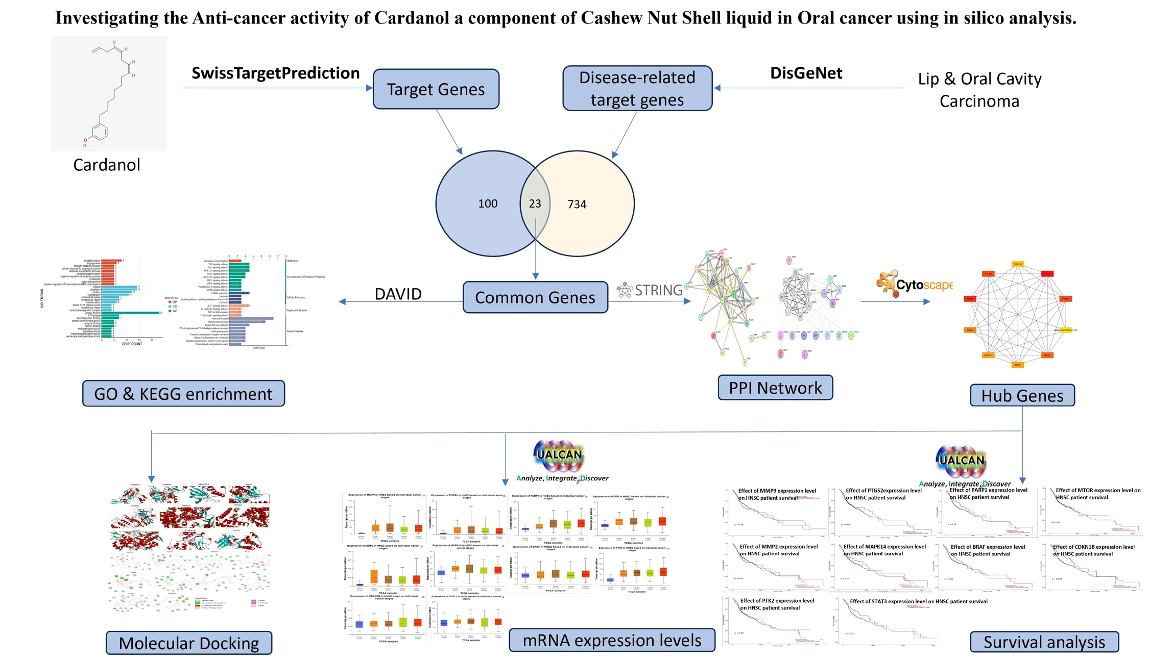 Graphical Abstract