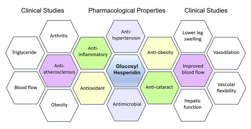 Graphical Abstract