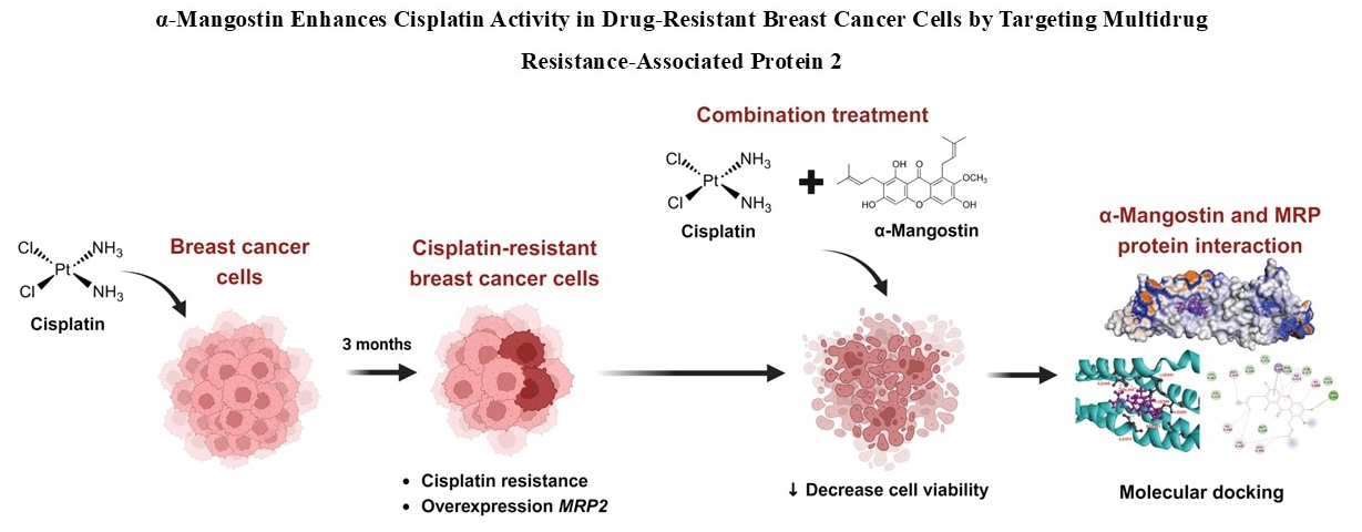 Graphical Abstract