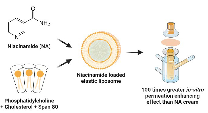 Graphical Abstract