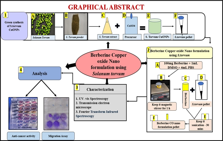 Graphical Abstract