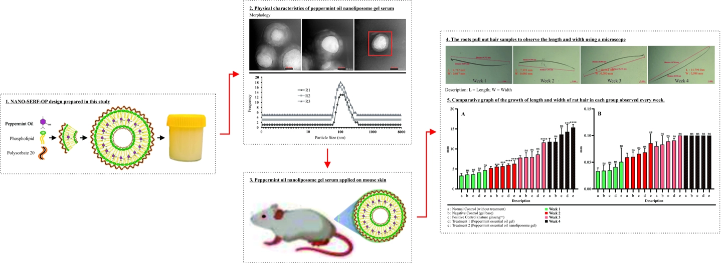 Graphical Abstract