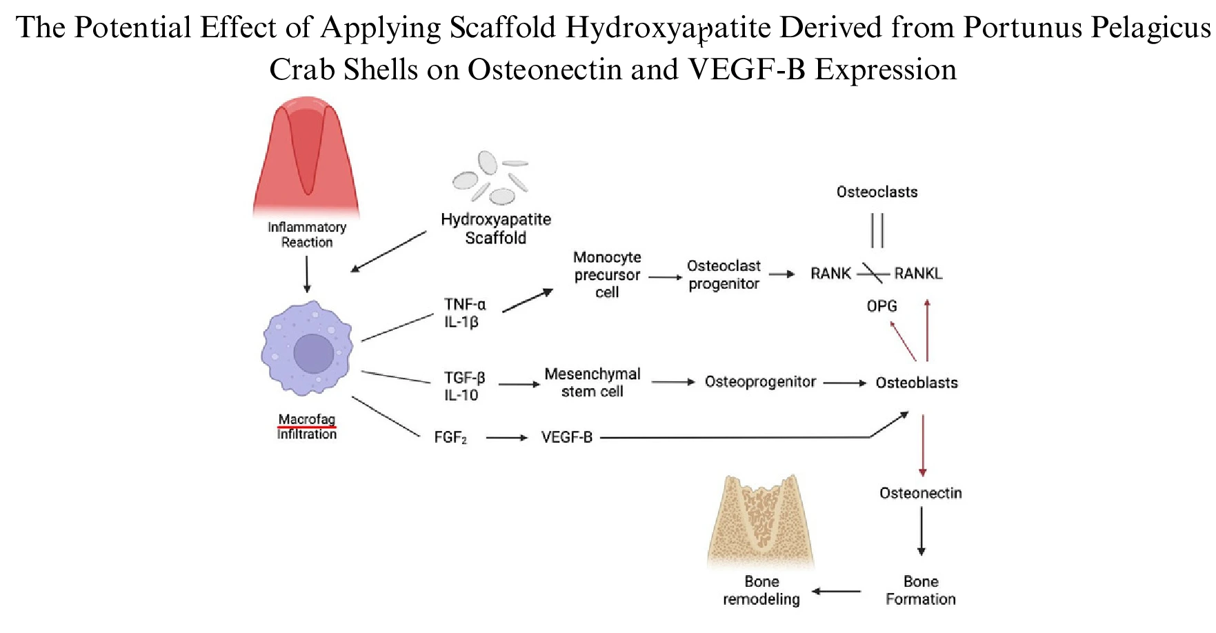 Graphical Abstract