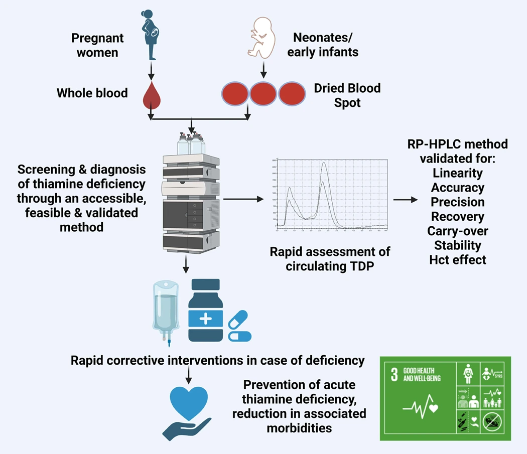 Graphical Abstract