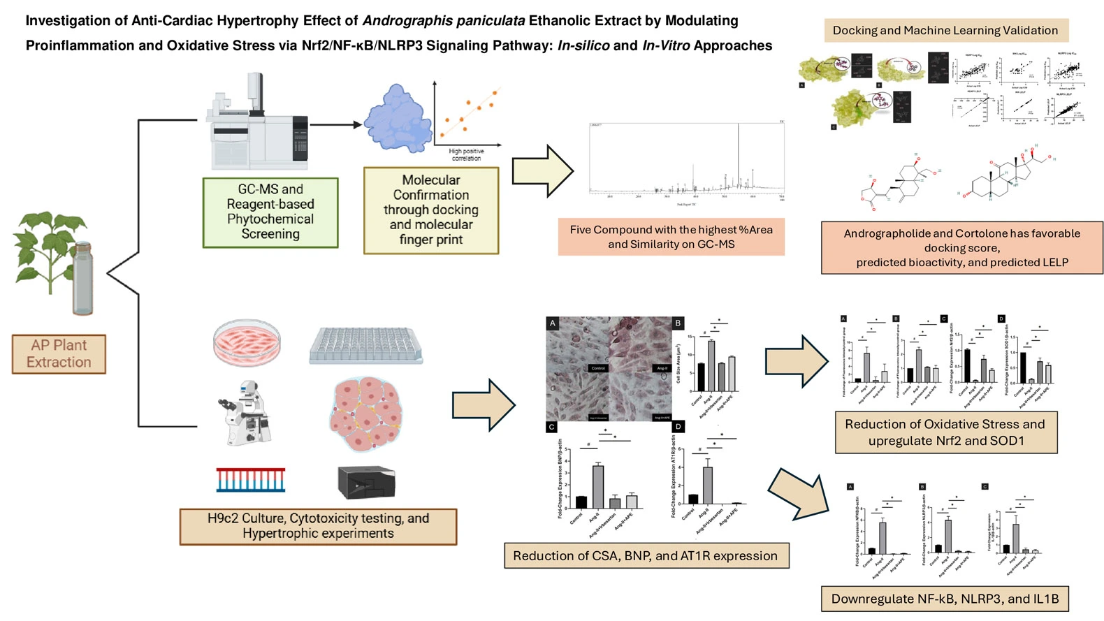 Graphical Abstract