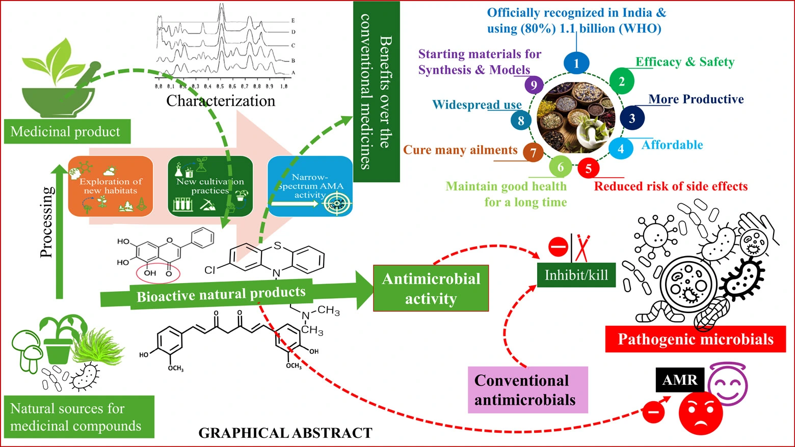 Graphical Abstract