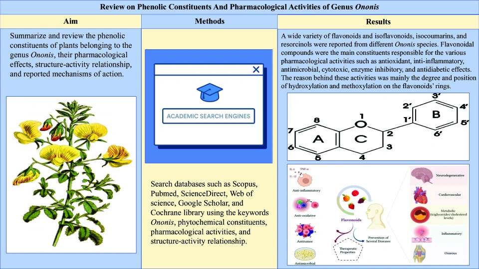 Graphical Abstract