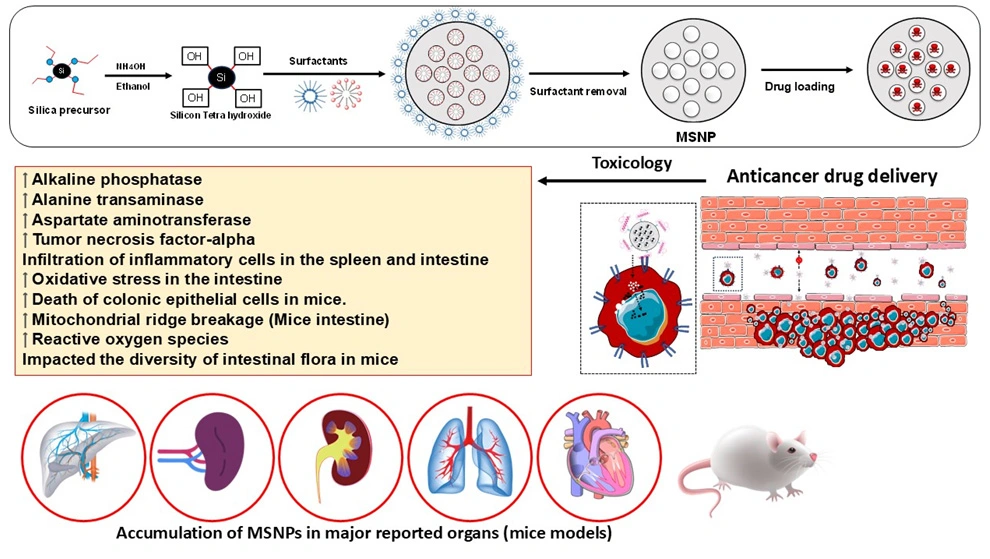 Graphical Abstract