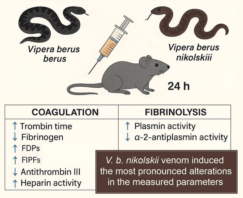 Graphical Abstract