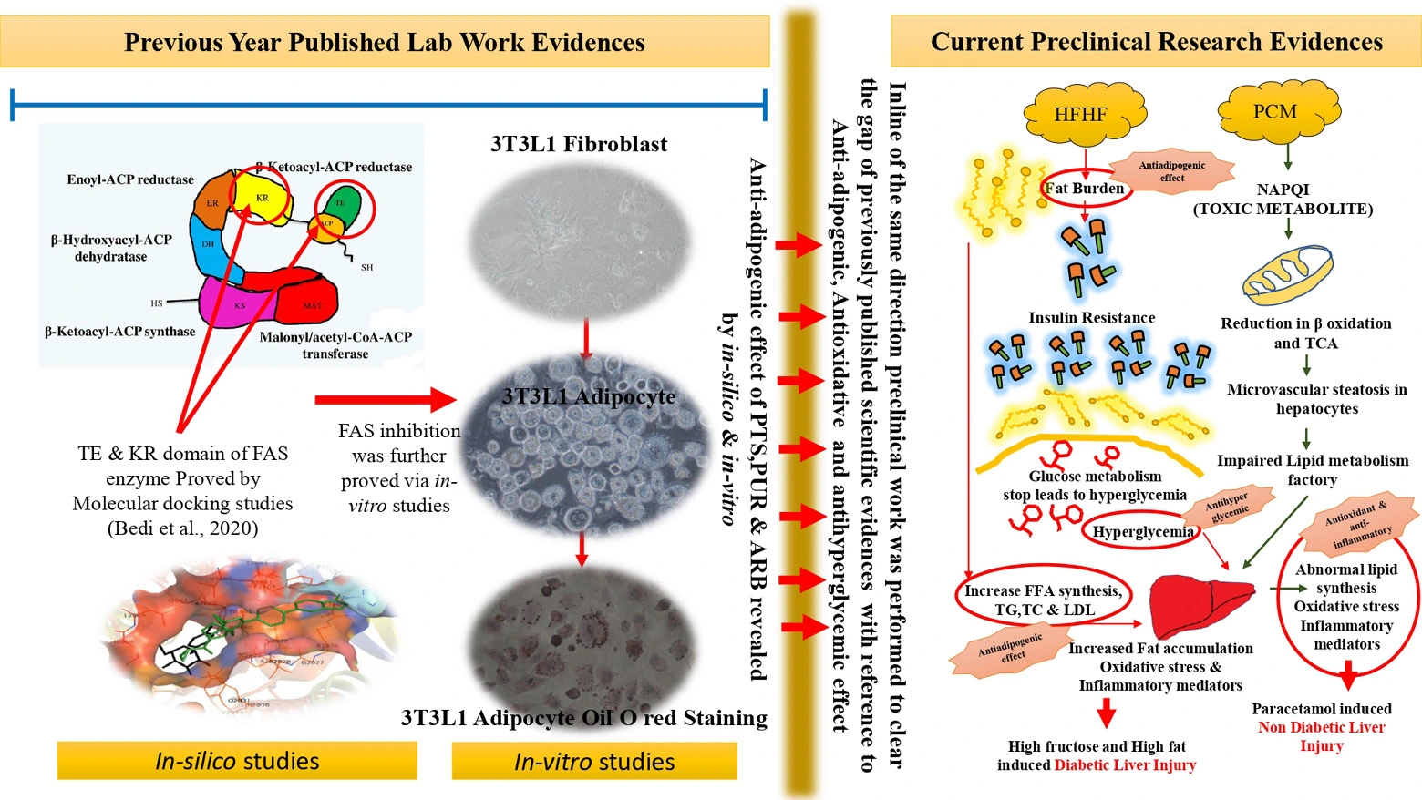 Graphical Abstract