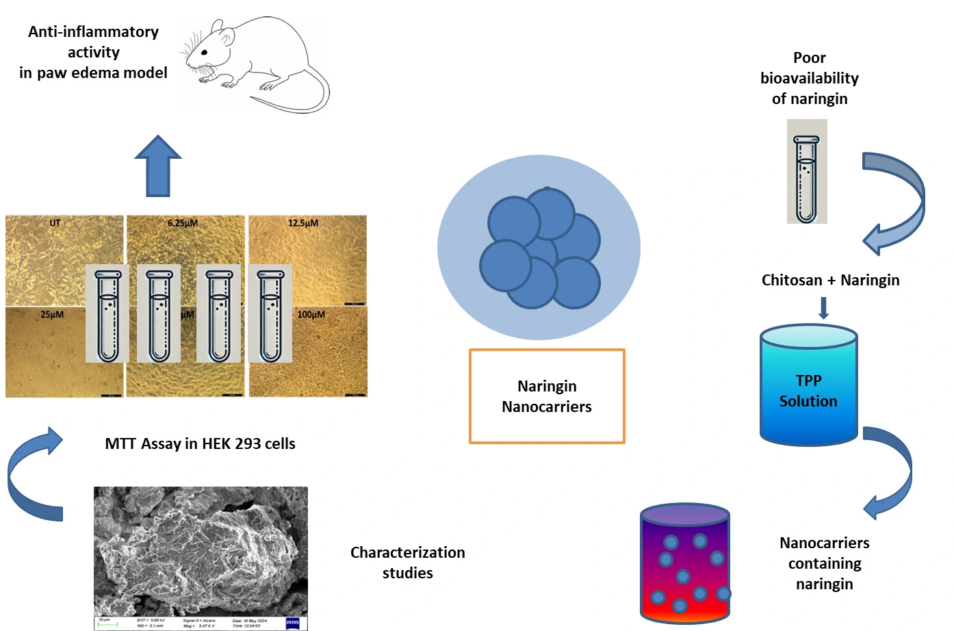 Graphical Abstract