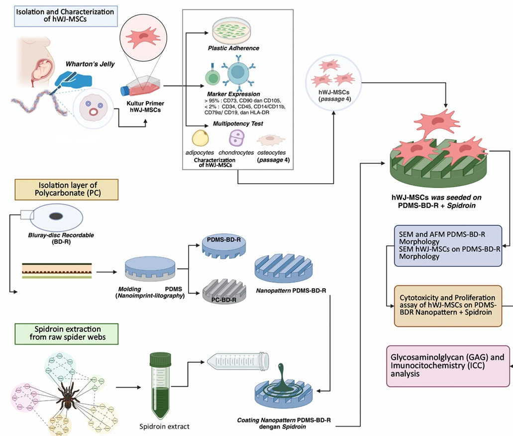 Graphical Abstract