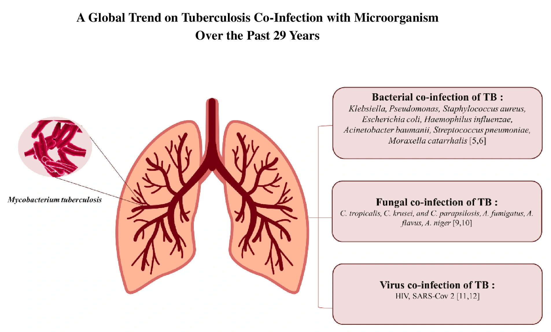 Graphical Abstract