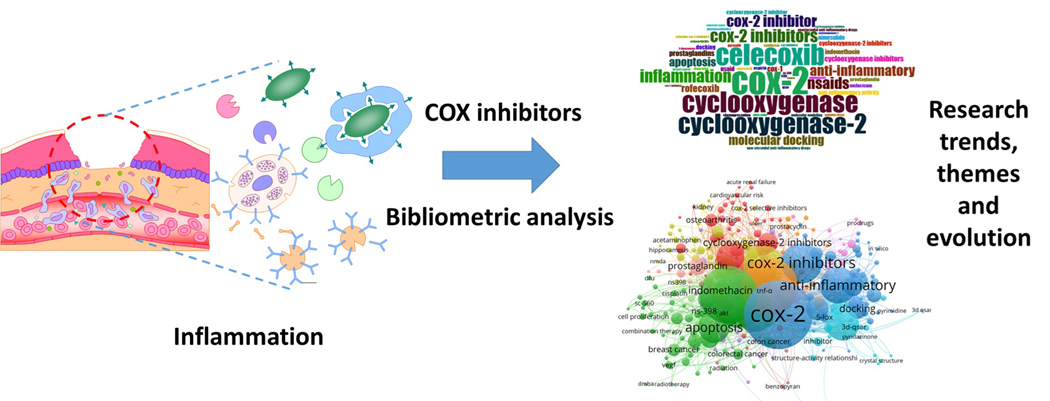 Graphical Abstract