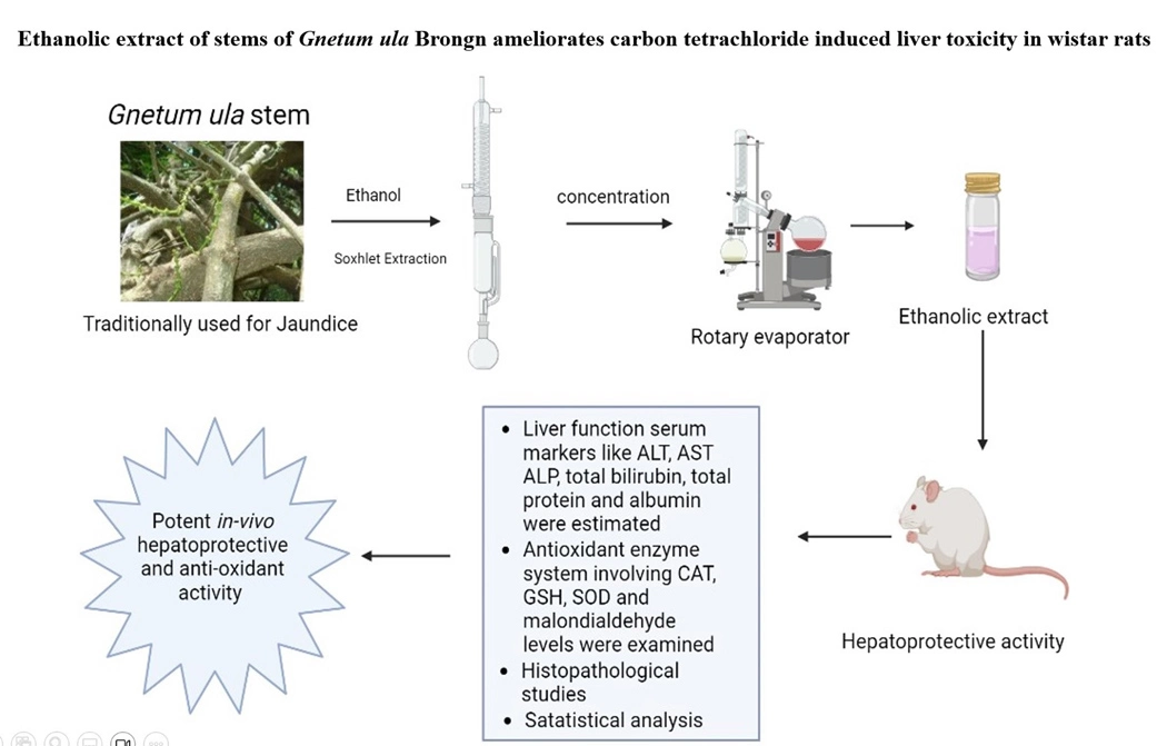 Graphical Abstract
