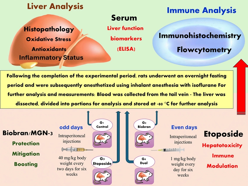 Graphical Abstract