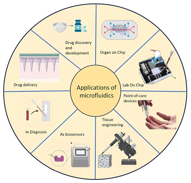 Graphical Abstract