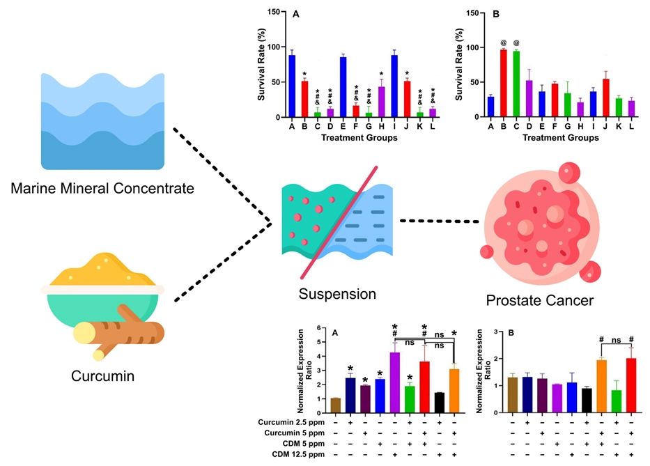 Graphical Abstract