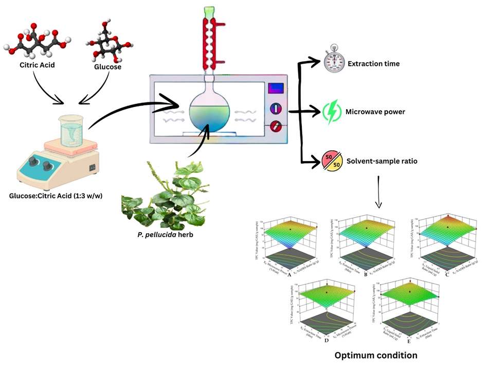 Graphical Abstract