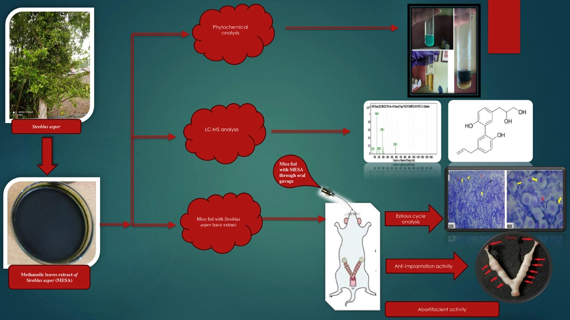 Graphical Abstract