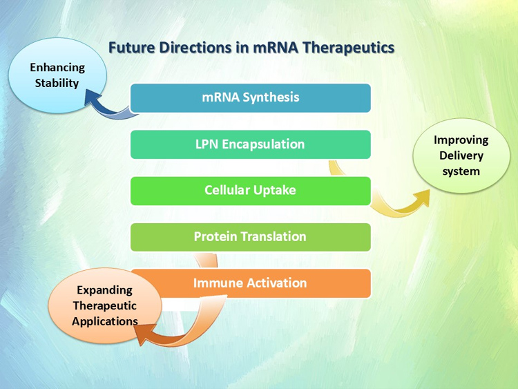 Graphical Abstract