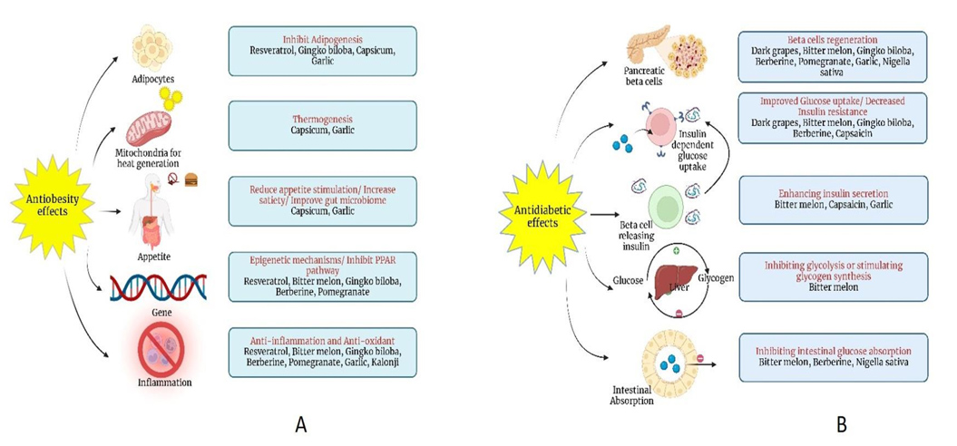 Graphical Abstract