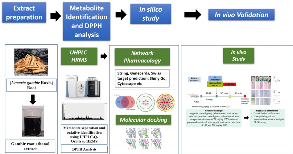 Graphical Abstract