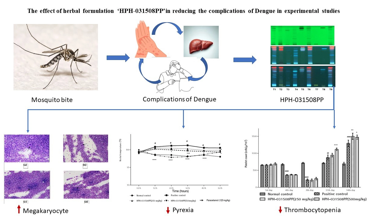 Graphical Abstract
