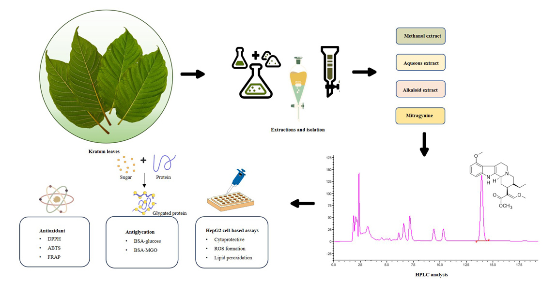 Graphical Abstract