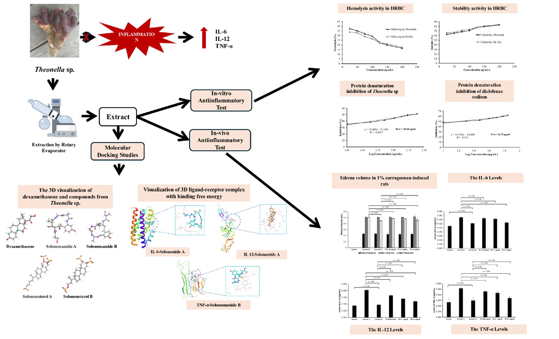 Graphical Abstract