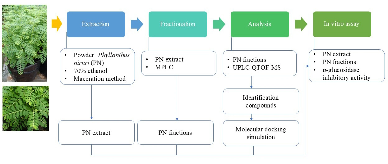 Graphical Abstract