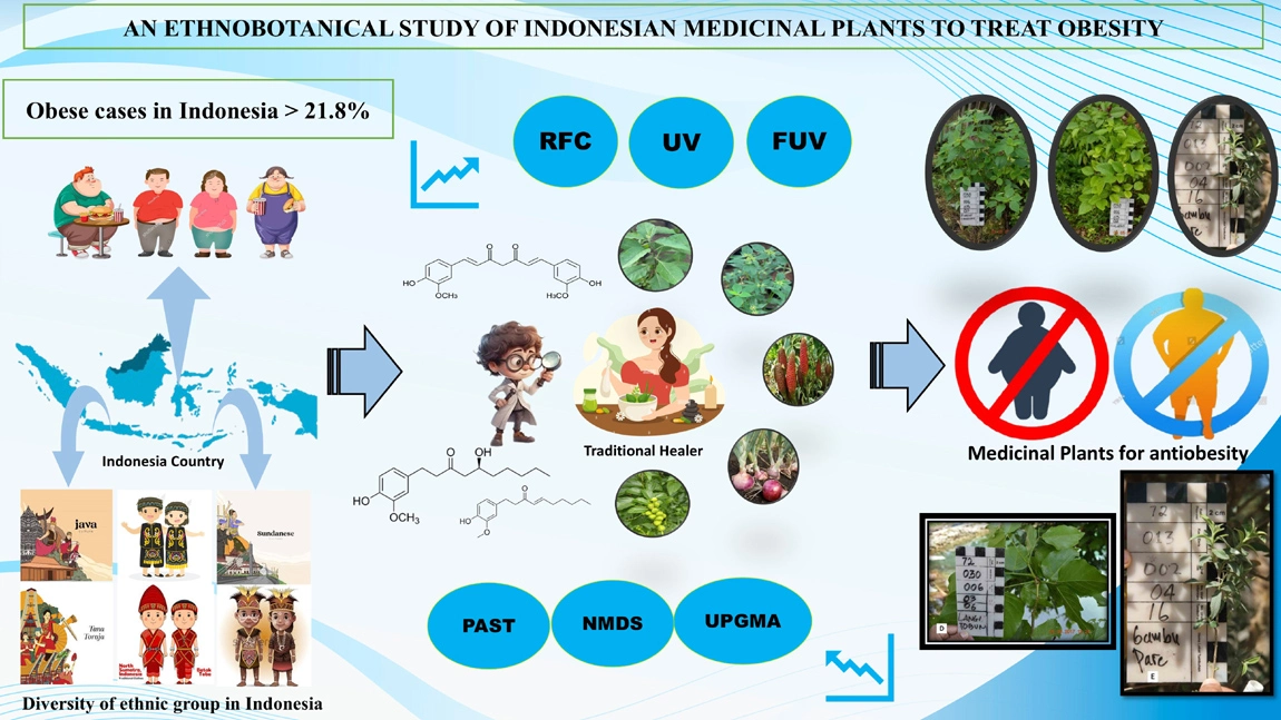Graphical Abstract