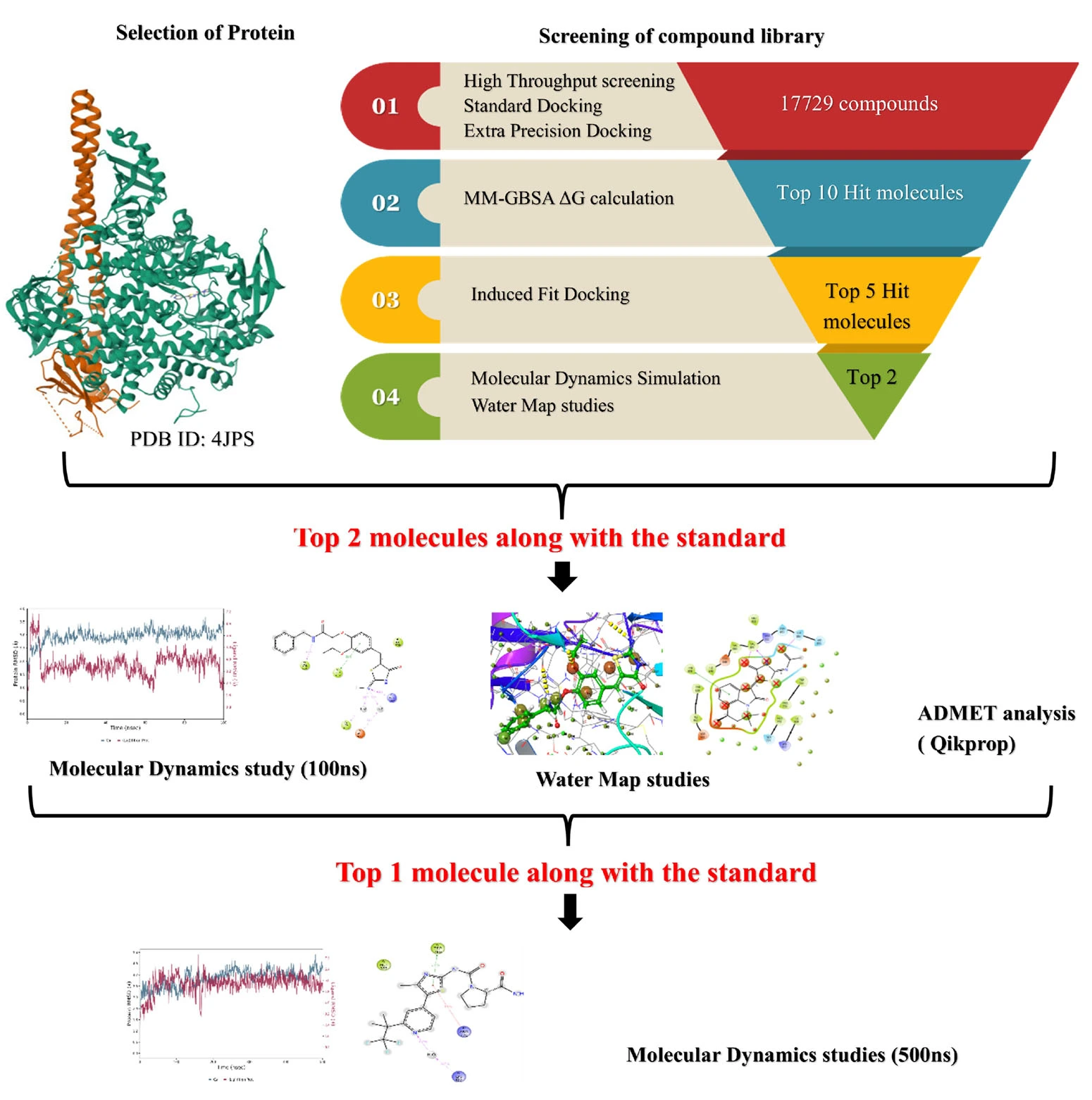 Graphical Abstract