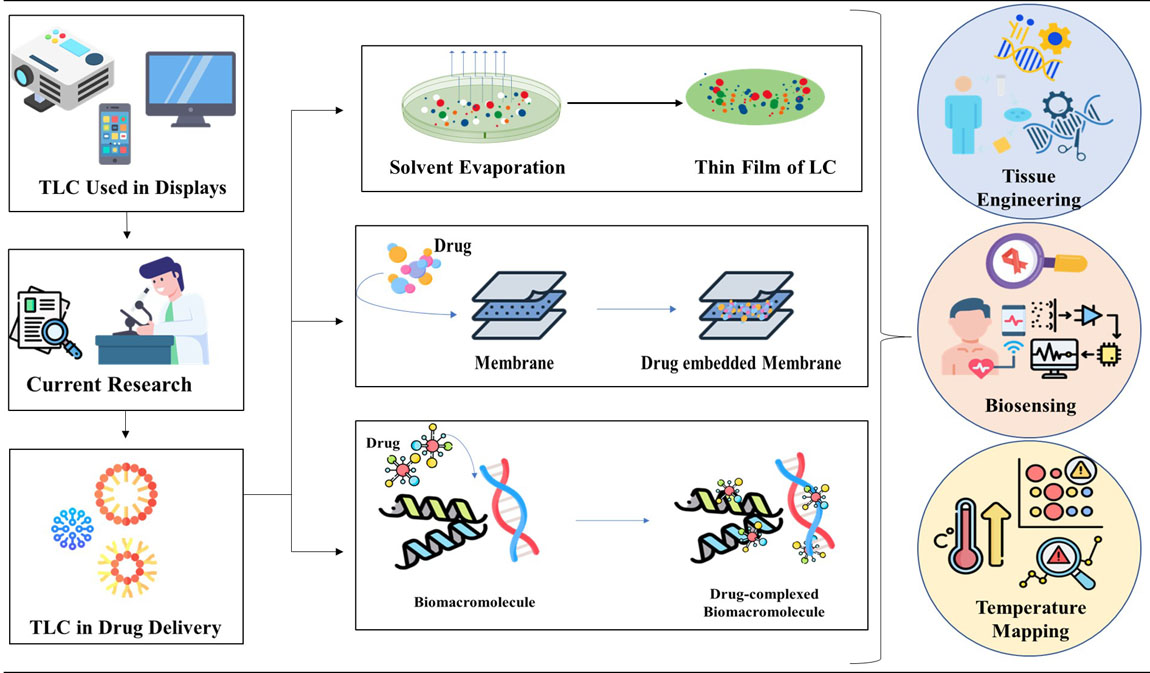 Graphical Abstract