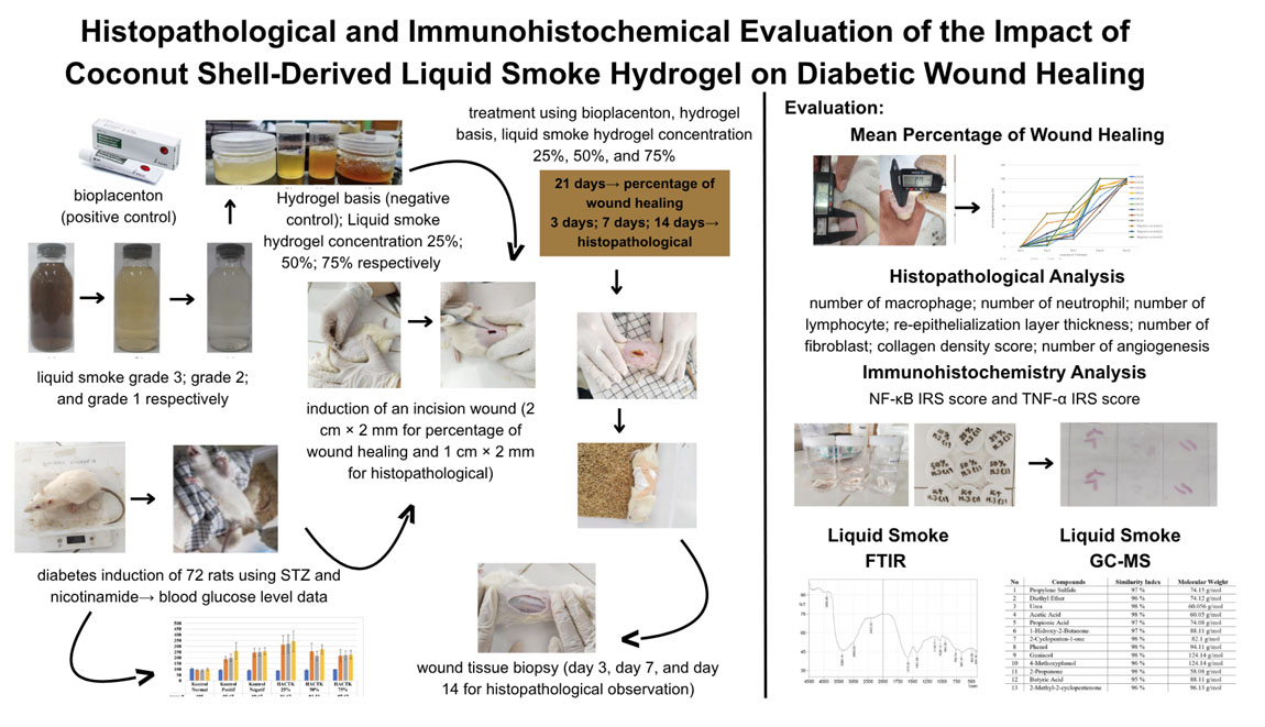 Graphical Abstract