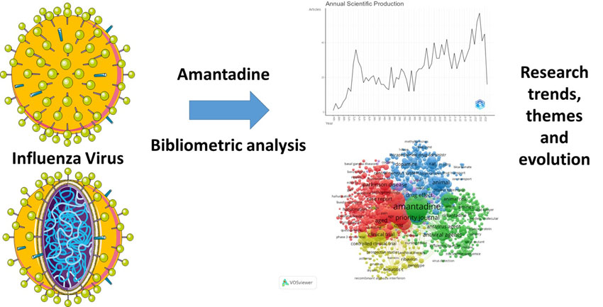 Graphical Abstract