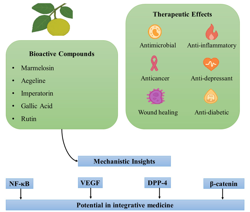 Graphical Abstract