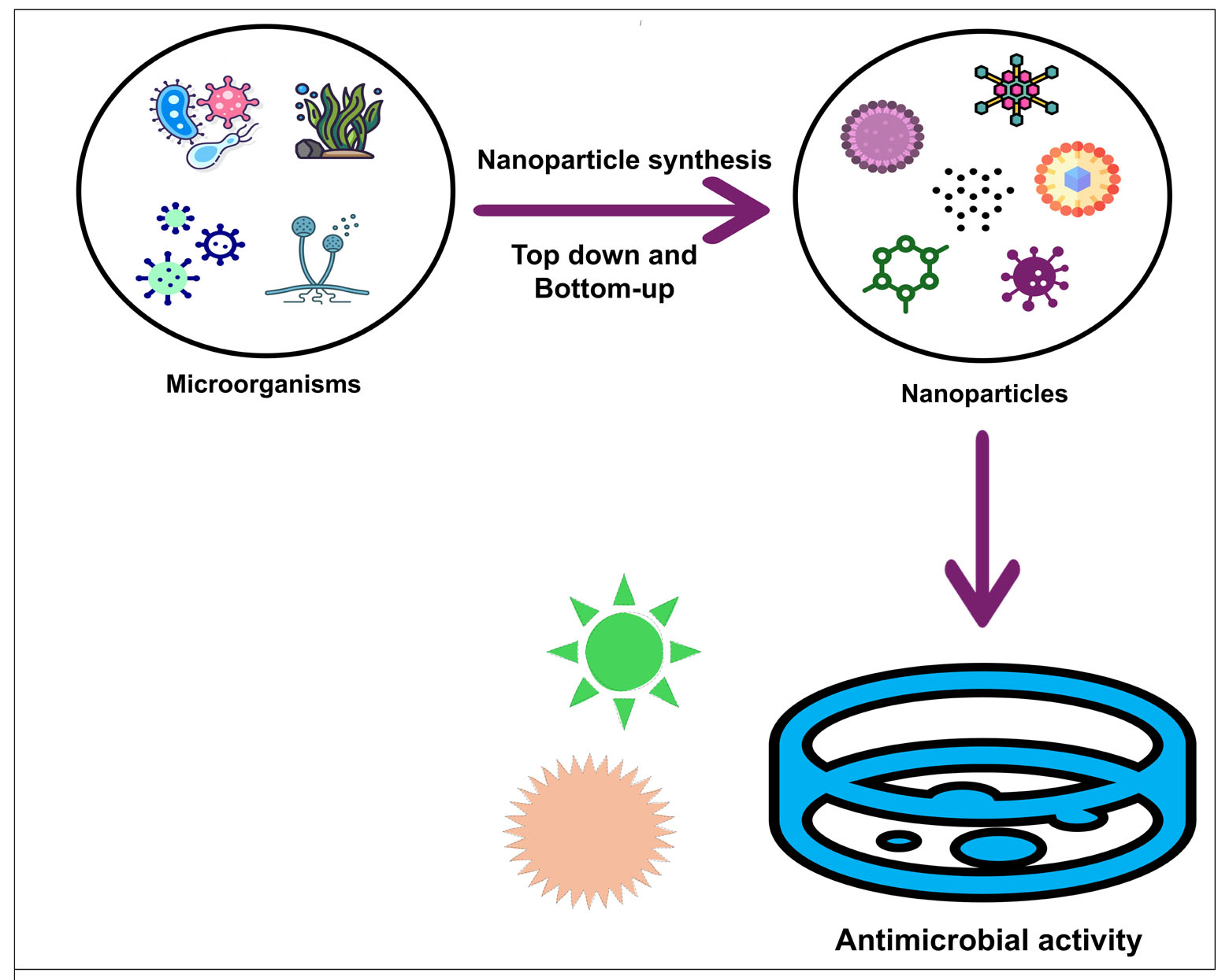 Graphical Abstract