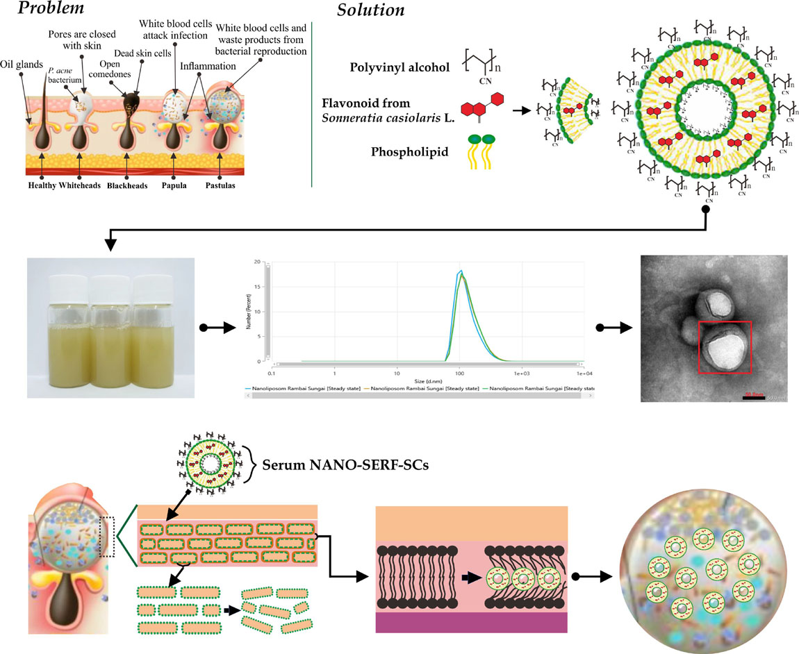 Graphical Abstract