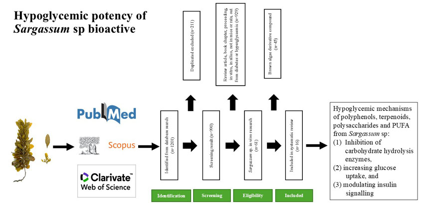 Graphical Abstract