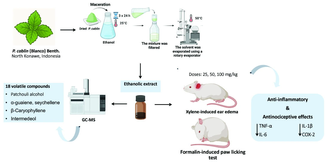 Graphical Abstract