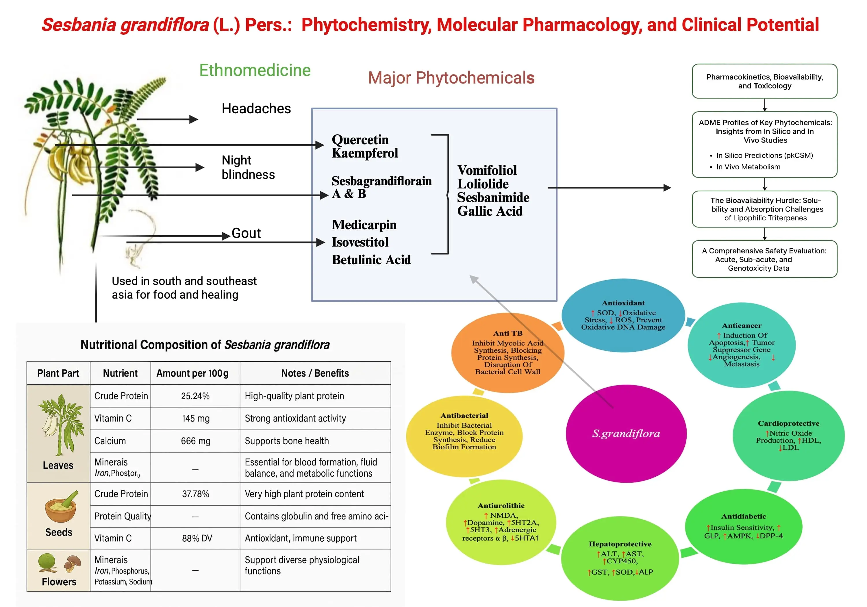 Graphical Abstract