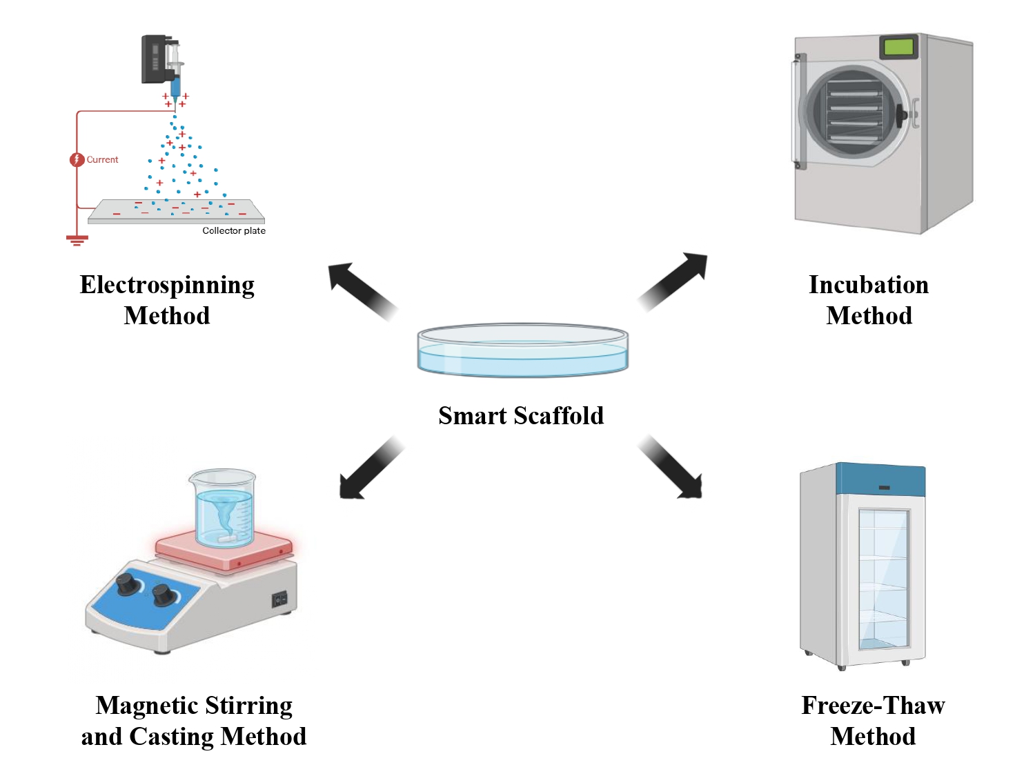 Graphical Abstract