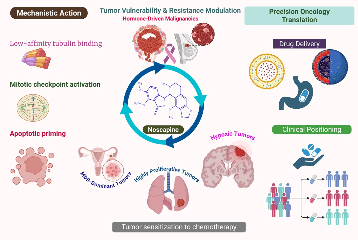Graphical Abstract